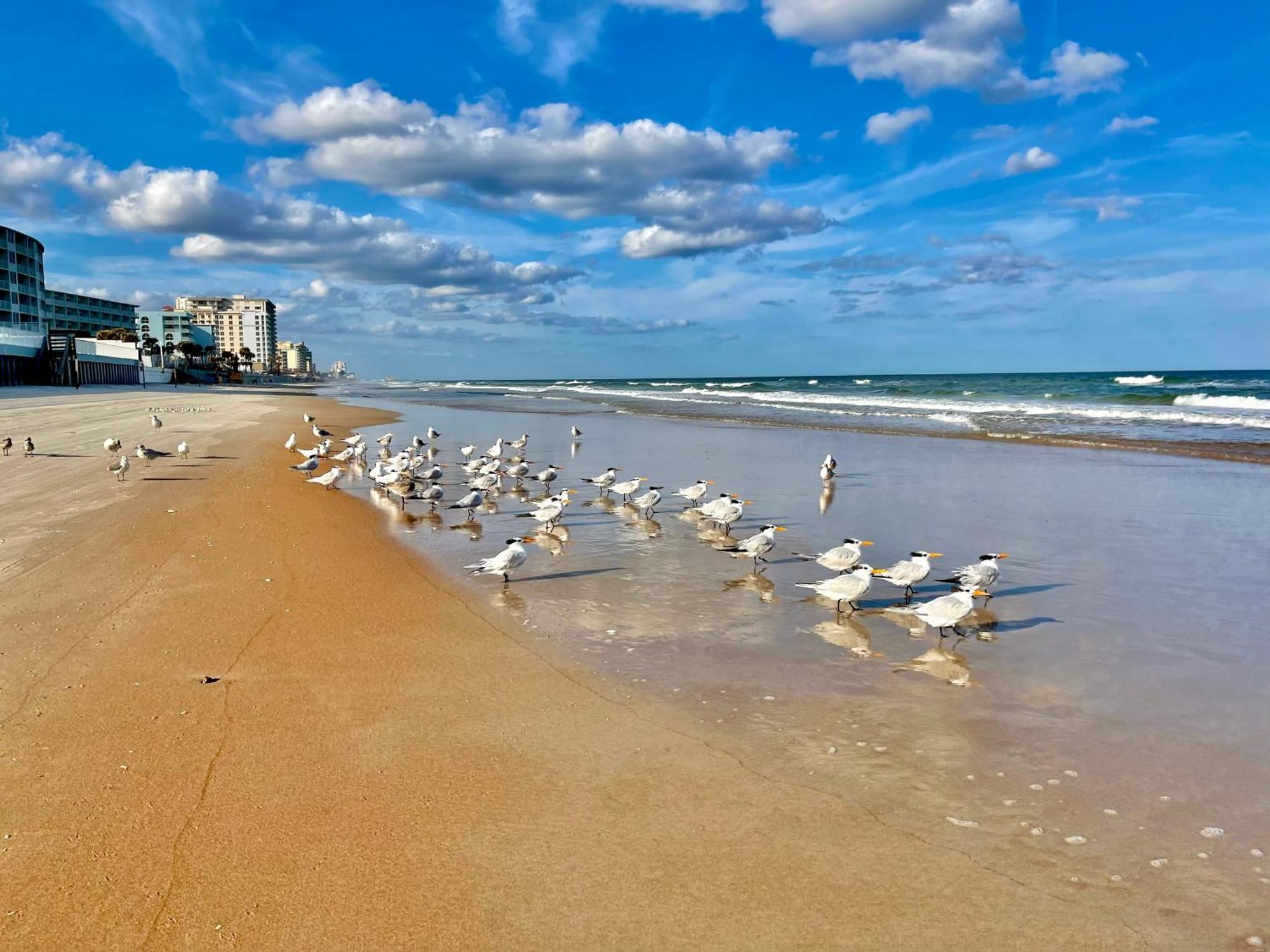 Sunset Studio Daytona Beachfront エクステリア 写真